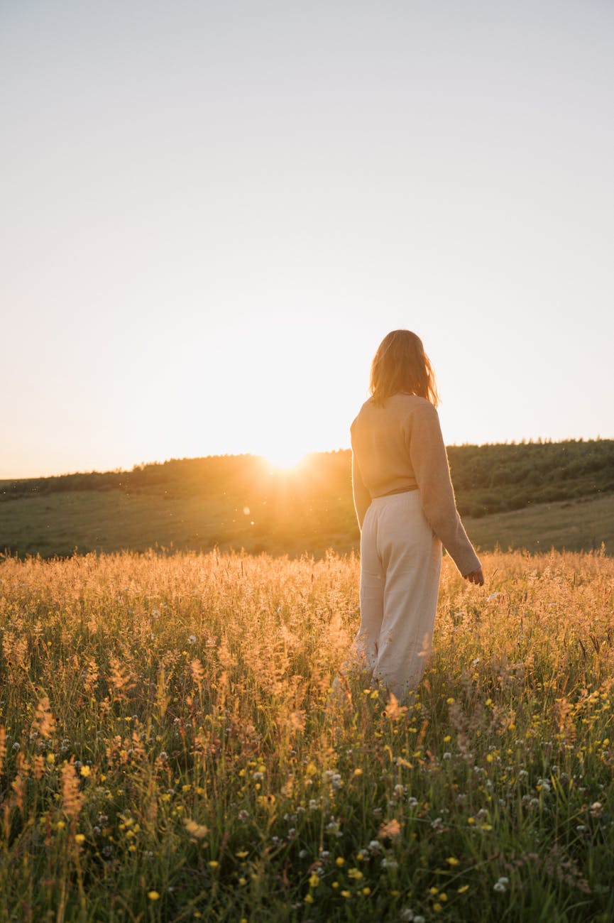 nervous system, a woman standing in a field at sunset