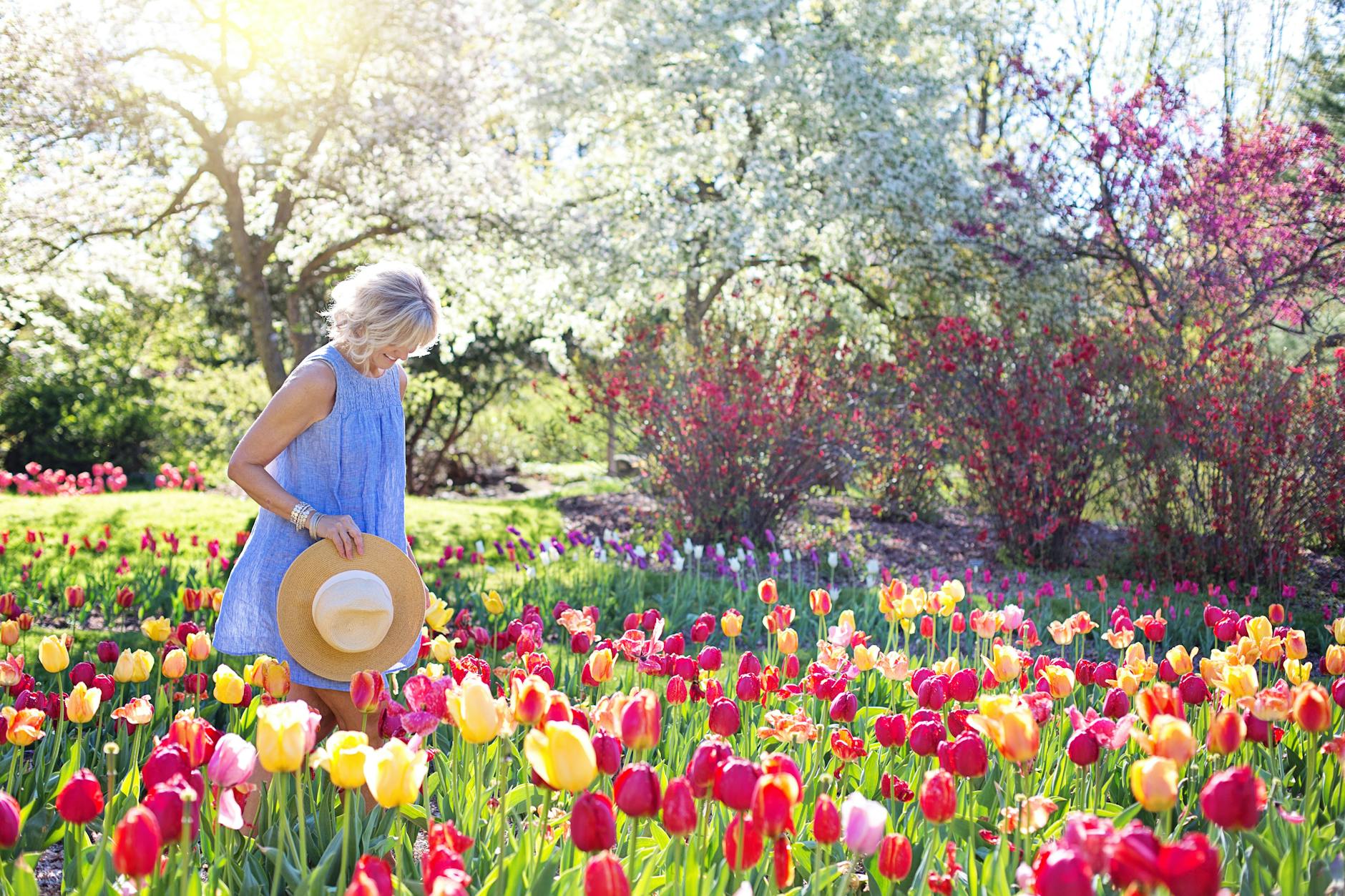woman walking on bed of tulip flowers. midlife
