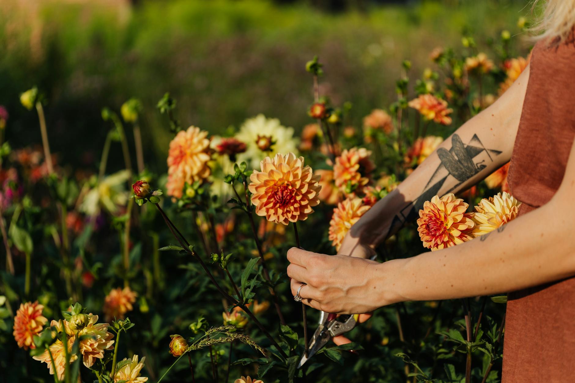 nervous system, woman cutting flower in field