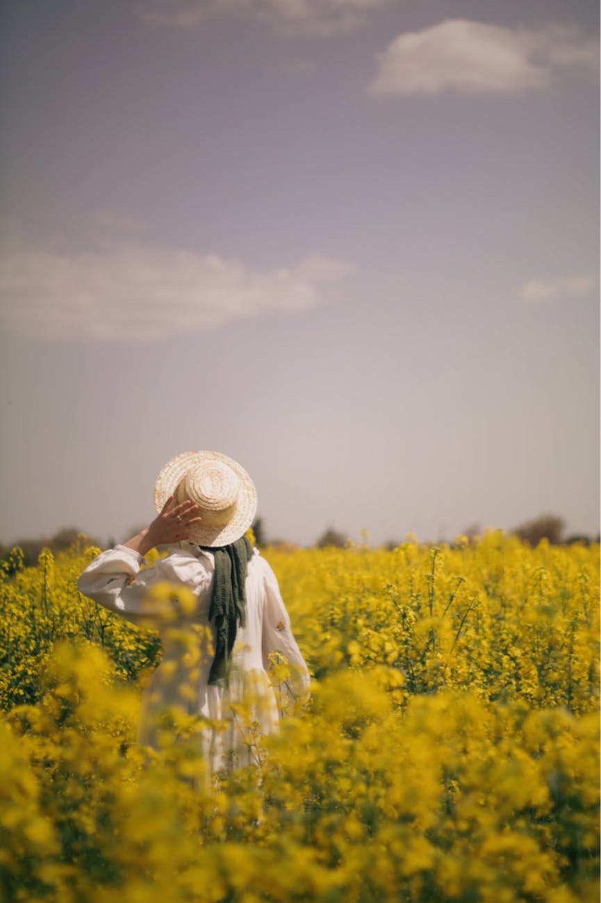 woman in straw hat walking through yellow flower field. spiritual