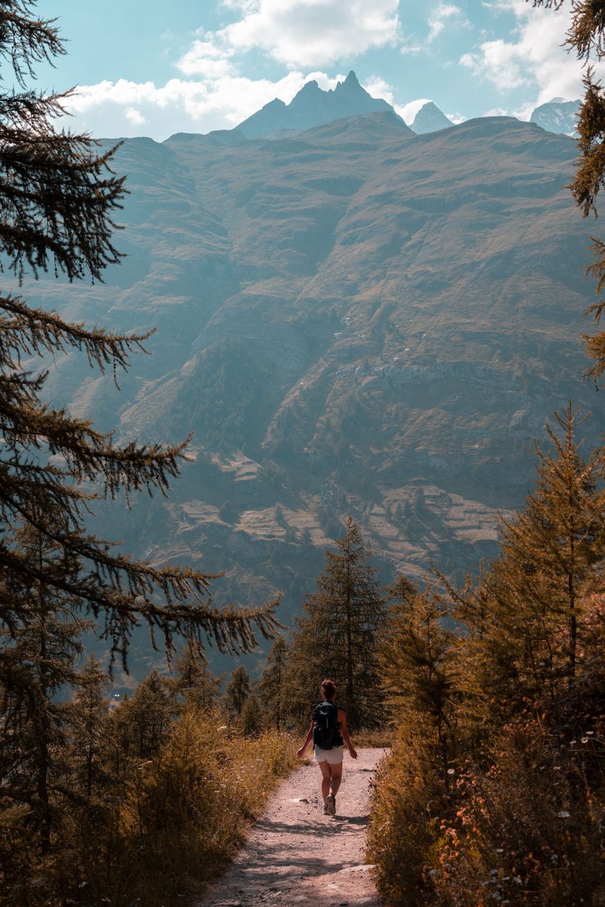 a woman walking on a walkway between brown plants