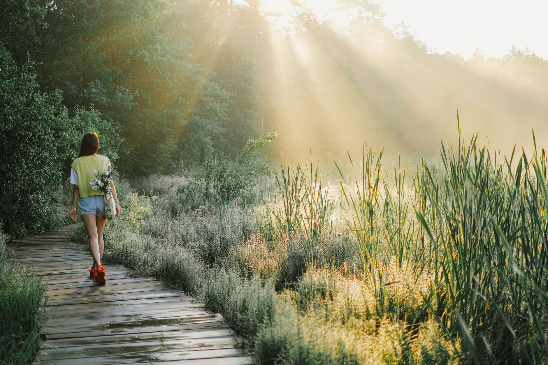 person walking on wooden pathway between green grass